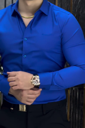 Men Blue Opaque Formal Shirt