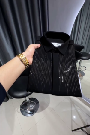 Premium Slim Fit Embellished Casual Shirt