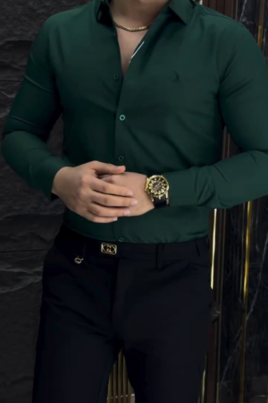 Men Olive Regular Fit Plain Formal Shirt