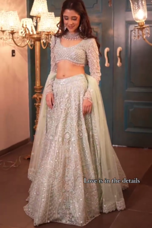 Women's Beige Umbrella Style Net Engagement Lehenga